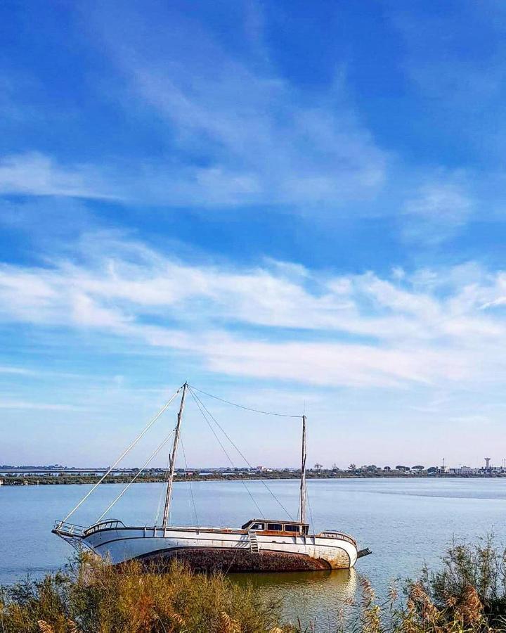 Studio 237 Port Camargue, Piscine, Climatisation, 2 Personnes เลอ โกร-ดู-รัว ภายนอก รูปภาพ
